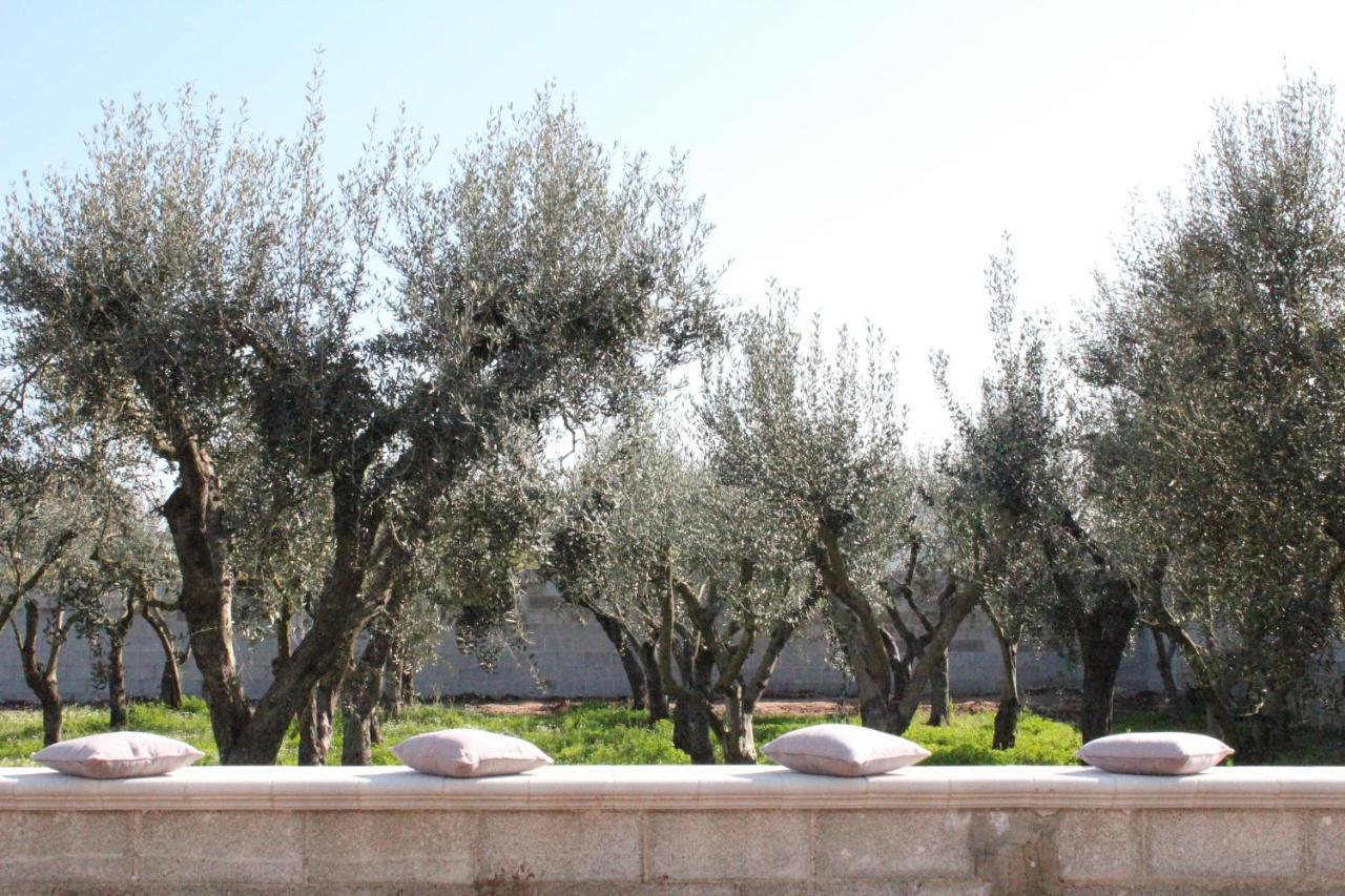 Piccolo Ulivo B&B Salento Vernole Extérieur photo